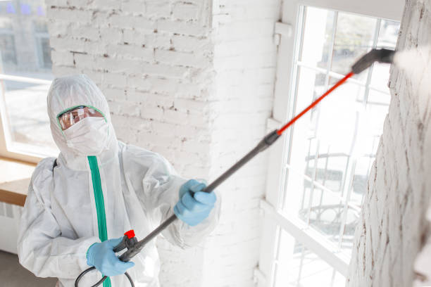 Best Dehumidification Services  in Micco, FL