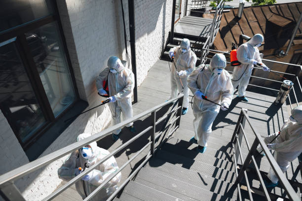 Asbestos and Lead Testing During Mold Inspection in Micco, FL