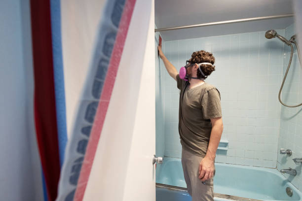 Best Comprehensive Air Testing for Mold Contaminants  in Micco, FL