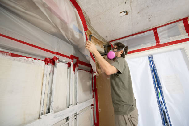 Best Industrial Mold Remediation  in Micco, FL