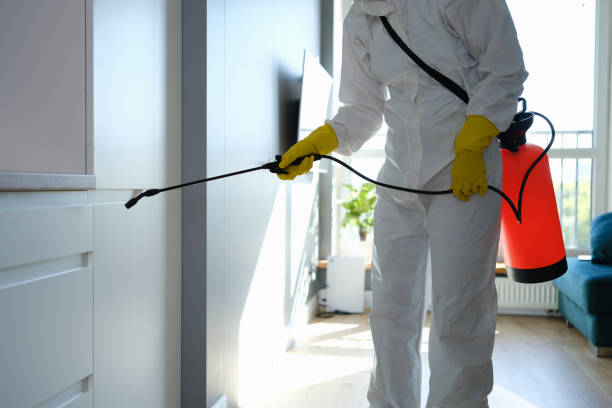 Best Asbestos and Lead Testing During Mold Inspection  in Micco, FL