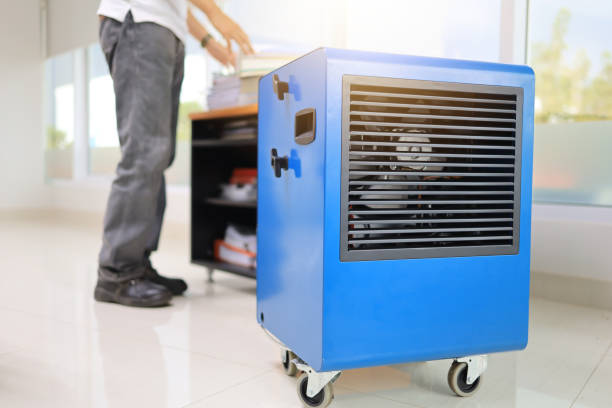 Best Comprehensive Air Testing for Mold Contaminants  in Micco, FL