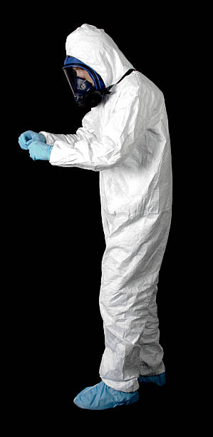 Best Black Mold Removal  in Micco, FL
