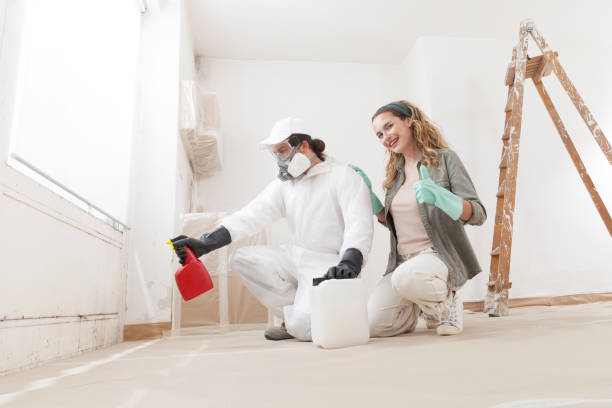Best Crawl Space Mold Remediation  in Micco, FL