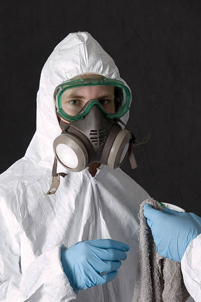 Best Real Estate Mold Inspection  in Micco, FL