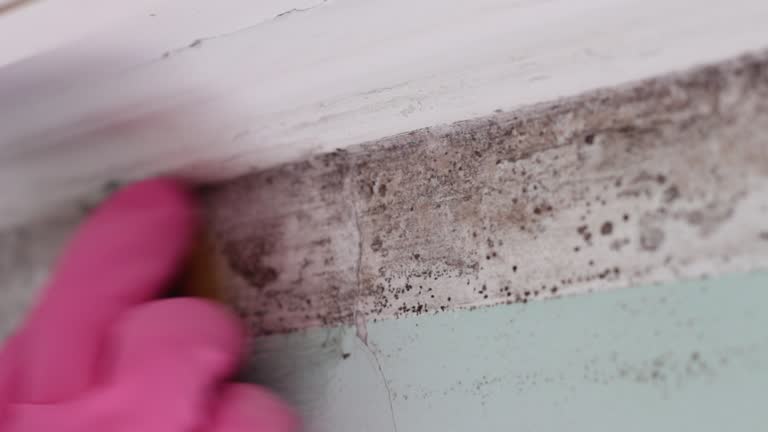 Best Indoor Air Quality Assessment  in Micco, FL